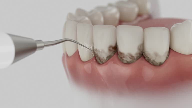 Reliable Dental contractor in Newport, TN by Dentist Open Now